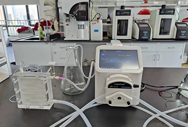 兰格智能泵助力中国农业科学院油料作物研究所植物蛋白纯化